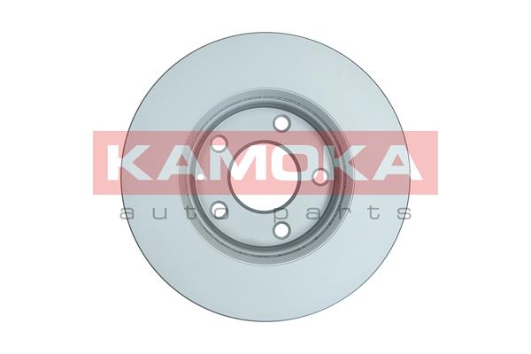 Brake Disc - 103641 KAMOKA