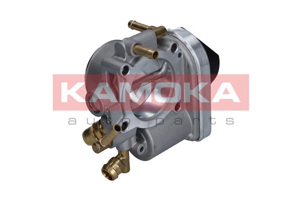 Corpo farfallato - 112019 KAMOKA