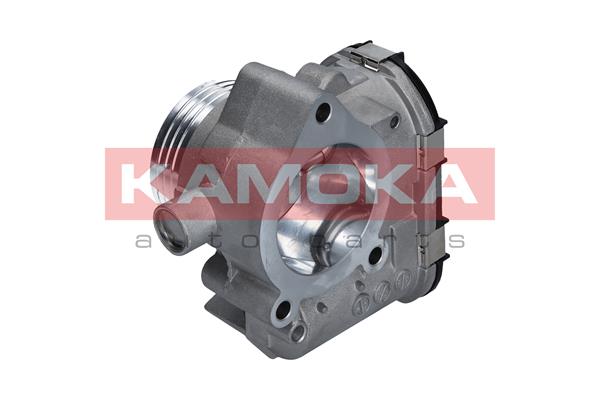 Corpo farfallato - 112020 KAMOKA
