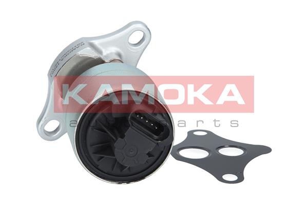 EGR Valve - 19001 KAMOKA