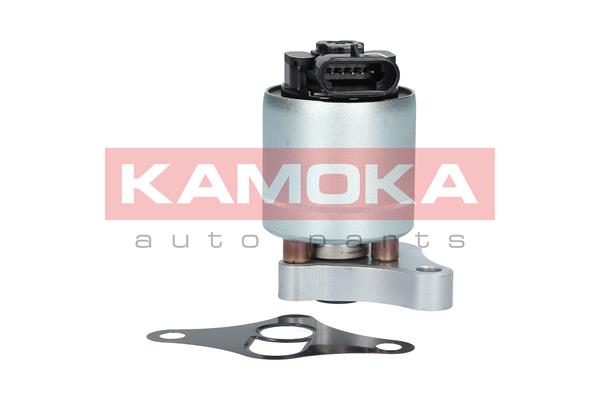 Клапан возврата ОГ - 19002 KAMOKA