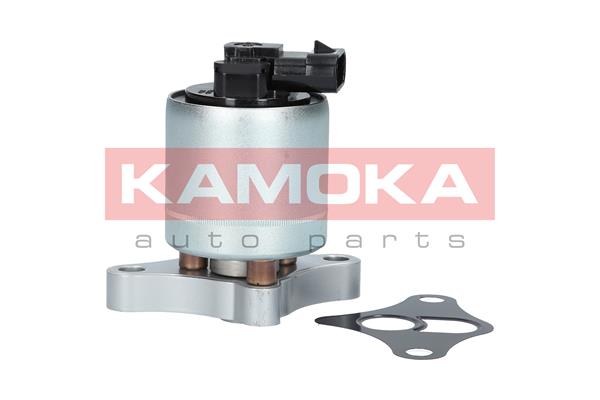 Клапан возврата ОГ - 19002 KAMOKA