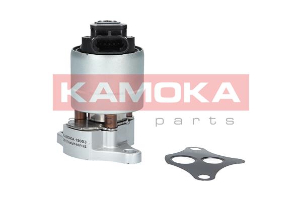 EGR Valve - 19003 KAMOKA