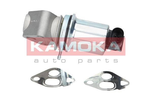 Valvola ricircolo gas scarico-EGR - 19006 KAMOKA