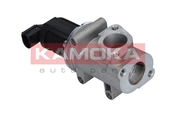 Valvola ricircolo gas scarico-EGR - 19008 KAMOKA