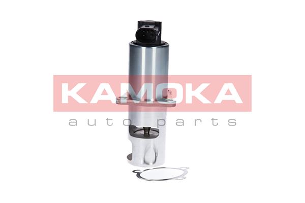 EGR Valve - 19010 KAMOKA