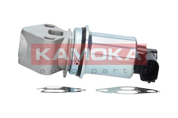 EGR Valve - 19017 KAMOKA