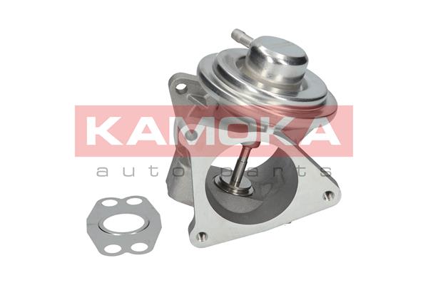 EGR Valve - 19020 KAMOKA