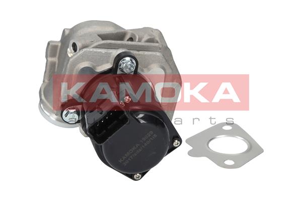 EGR Valve - 19029 KAMOKA