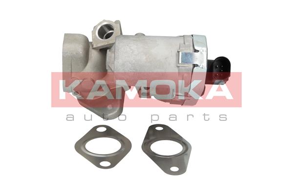 EGR Valve - 19030 KAMOKA