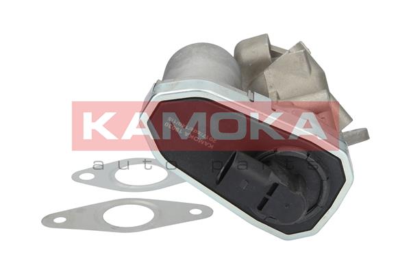 EGR Valve - 19030 KAMOKA