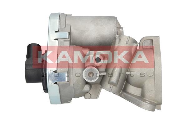 EGR Valve - 19030 KAMOKA