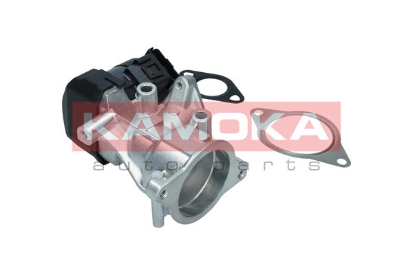EGR Valve - 19046 KAMOKA