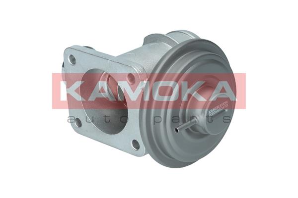 EGR Valve - 19064 KAMOKA