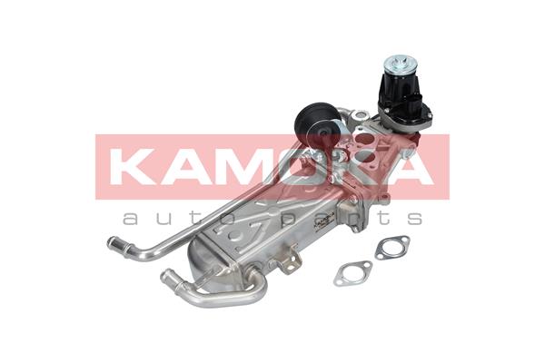 EGR Module - 19070 KAMOKA