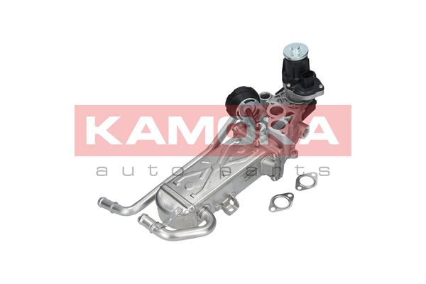 EGR Module - 19072 KAMOKA