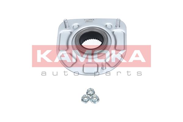 Repair Kit, suspension strut - 209116 KAMOKA