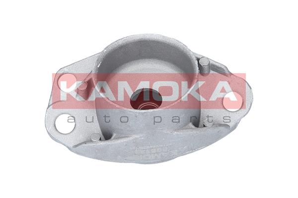 Repair Kit, suspension strut - 209135 KAMOKA