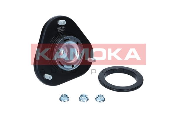 Repair Kit, suspension strut - 209163 KAMOKA