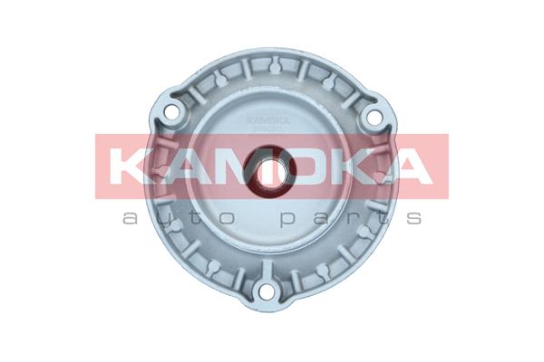 Repair Kit, suspension strut - 209250 KAMOKA
