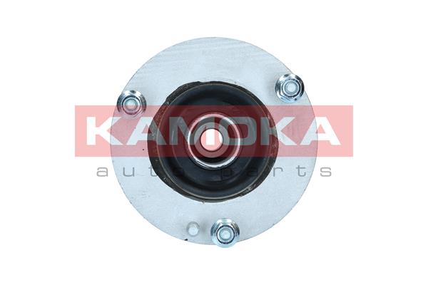 Repair Kit, suspension strut - 209253 KAMOKA