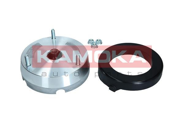 Repair Kit, suspension strut - 209255 KAMOKA