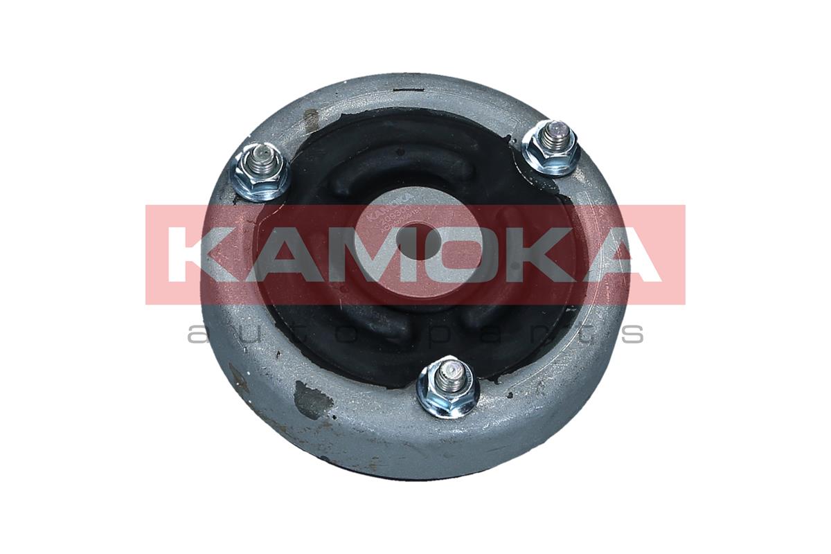Repair Kit, suspension strut - 209300 KAMOKA