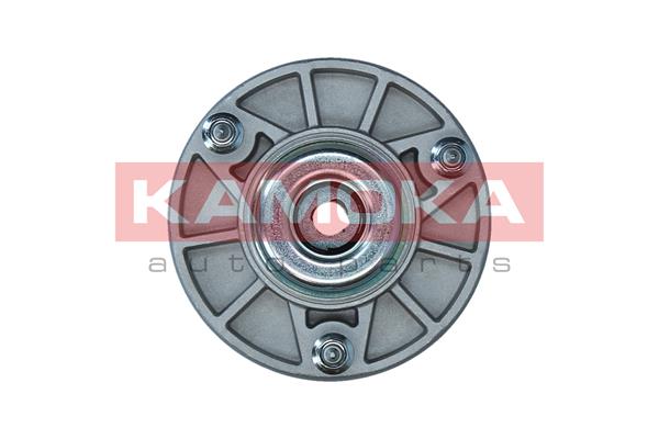 Repair Kit, suspension strut - 209321 KAMOKA