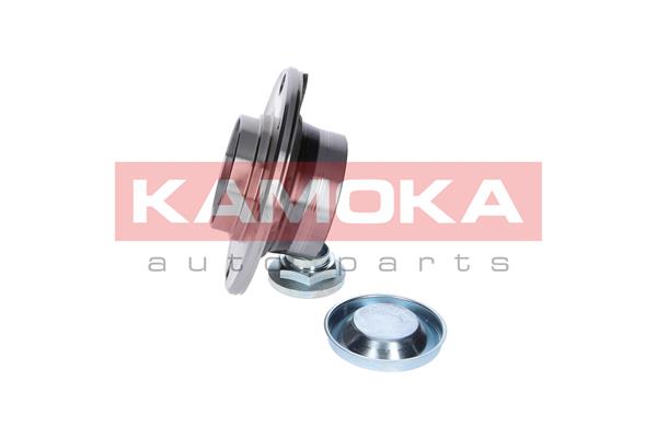 Комплект подшипника ступицы колеса - 5500007 KAMOKA