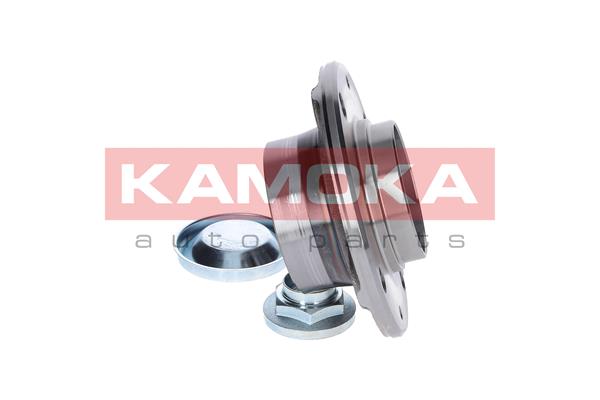 Комплект подшипника ступицы колеса - 5500007 KAMOKA