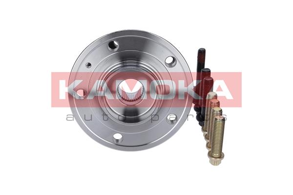 Wheel Bearing Kit - 5500067 KAMOKA