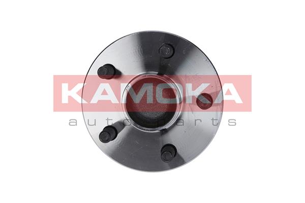 Kit cuscinetto ruota - 5500093 KAMOKA