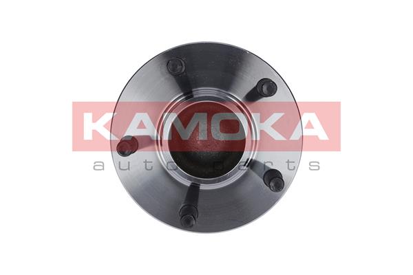 Kit cuscinetto ruota - 5500098 KAMOKA