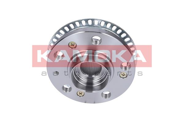 Wheel Hub - 5500116 KAMOKA