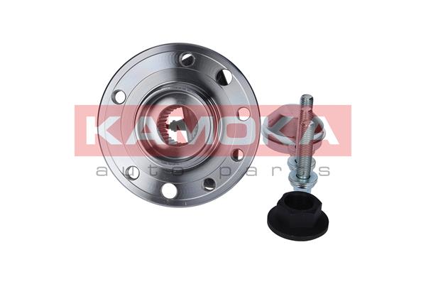 Wheel Bearing Kit - 5500137 KAMOKA