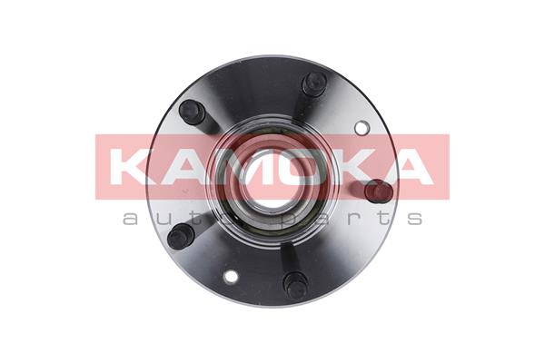 Kit cuscinetto ruota - 5500148 KAMOKA