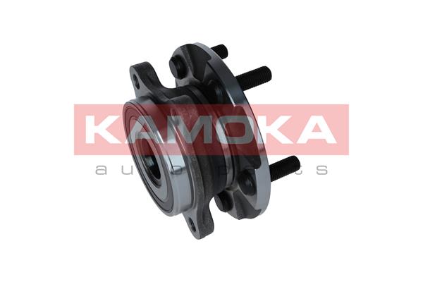 Комплект подшипника ступицы колеса - 5500159 KAMOKA