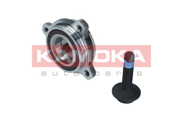 Wheel Bearing Kit - 5500173 KAMOKA