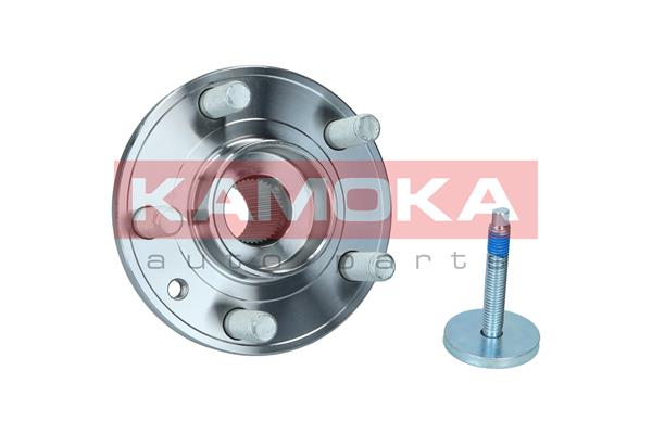 Wheel Bearing Kit - 5500244 KAMOKA