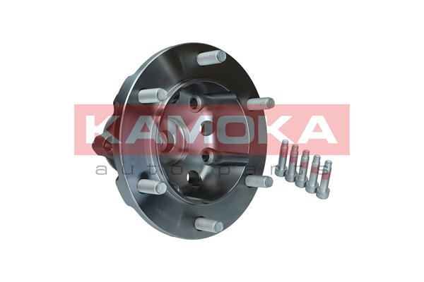 Kit cuscinetto ruota - 5500255 KAMOKA