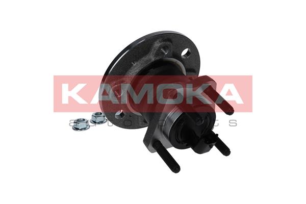 Комплект подшипника ступицы колеса - 5500331 KAMOKA