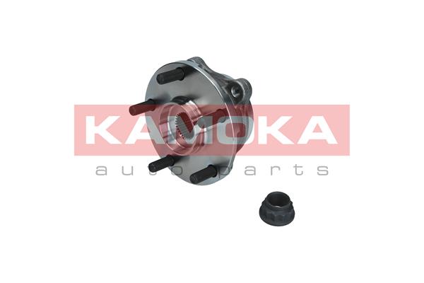 Комплект подшипника ступицы колеса - 5500357 KAMOKA