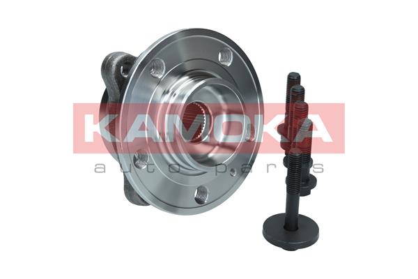 Wheel Bearing Kit - 5500379 KAMOKA