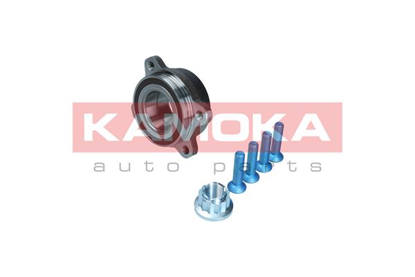 Kit cuscinetto ruota - 5500383 KAMOKA
