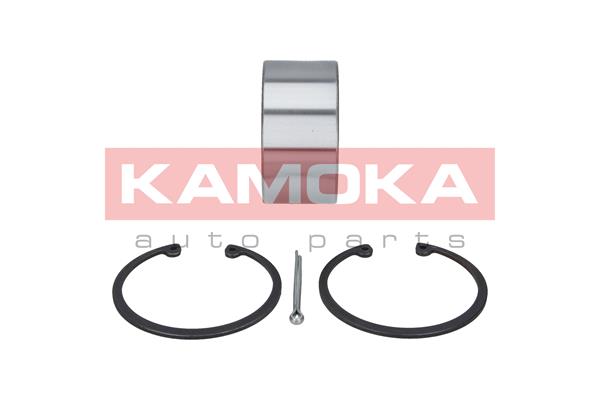 Комплект подшипника ступицы колеса - 5600008 KAMOKA