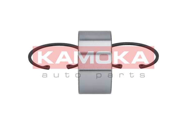 Комплект подшипника ступицы колеса - 5600008 KAMOKA