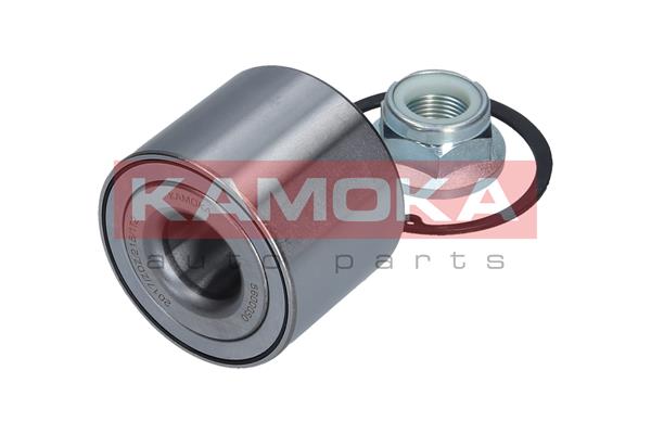 Wheel Bearing Kit - 5600050 KAMOKA