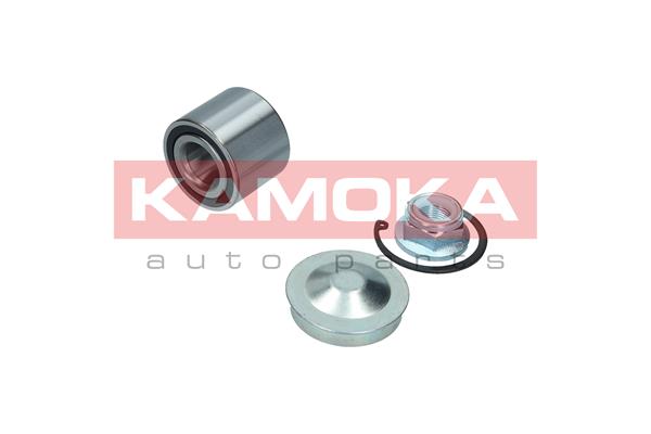 Kit cuscinetto ruota - 5600099 KAMOKA