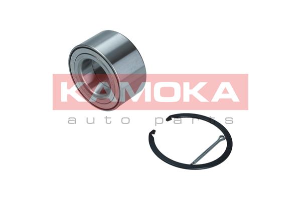 Wheel Bearing Kit - 5600113 KAMOKA