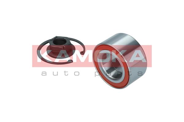 Комплект подшипника ступицы колеса - 5600145 KAMOKA